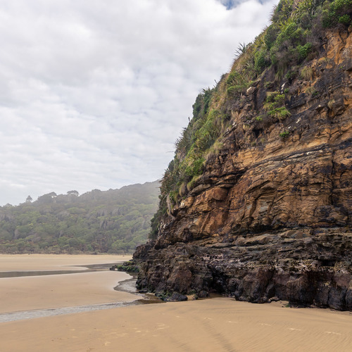 Cliff-face Cathedral Caves, Catlins