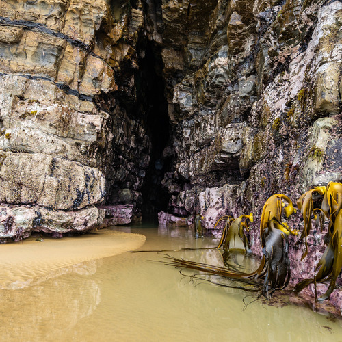 The entrance to the caves, Cathedral Caves