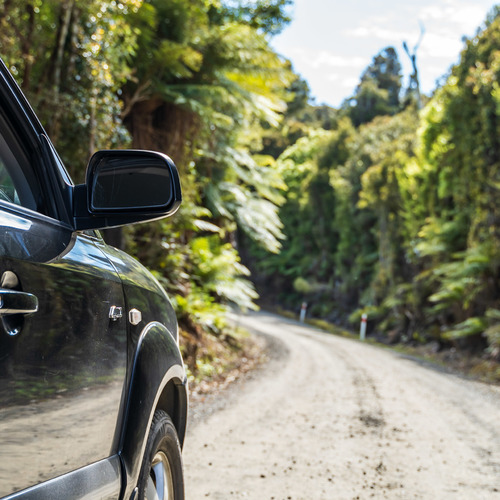 The drive to Cathedral Caves, Catlins